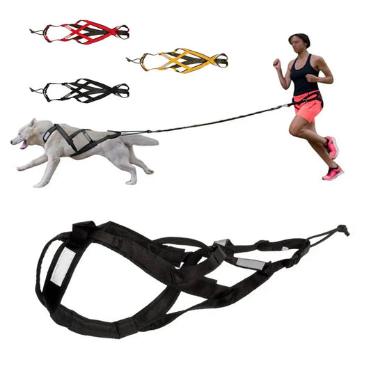 Arnés Reflectante para Perros - Acolchado Ajustable para Paseos Nocturnos y Actividades al Aire Libre