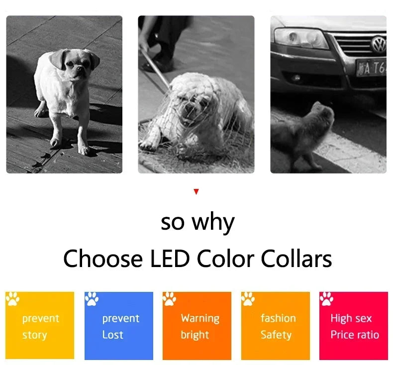 Collar LED Programable para Perros - Pantalla Multicolor Personalizable