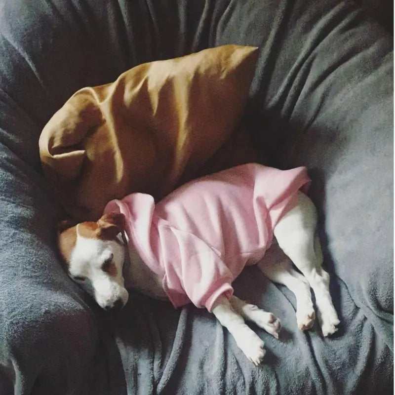 Sudadera con Capucha para Perros - Chaqueta Cálida Cortavientos