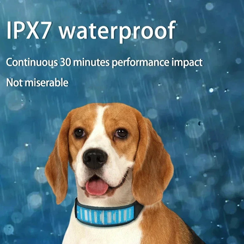 Collar LED Programable para Perros - Pantalla Multicolor Personalizable