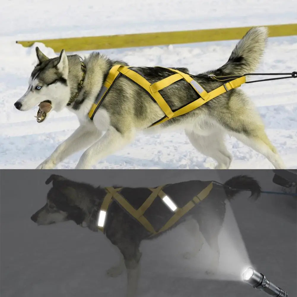 Arnés Acolchado Reflectante para Perros - Ajustable para Paseos Nocturnos
