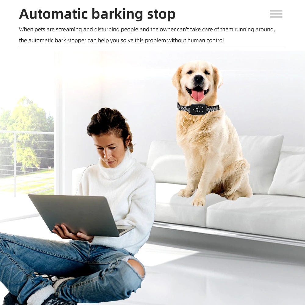 Collar de Entrenamiento Eléctrico para Perros - Recargable Impermeable con Control Remoto