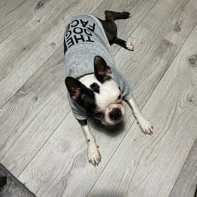 Sudadera con Capucha para Perros - Chaqueta Cálida Cortavientos