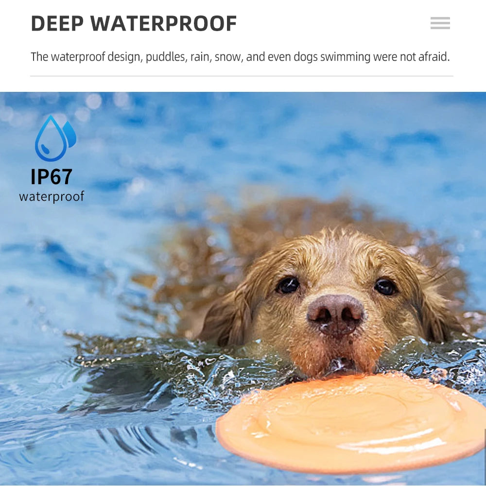 Collar de Entrenamiento Eléctrico para Perros - Recargable Impermeable con Control Remoto