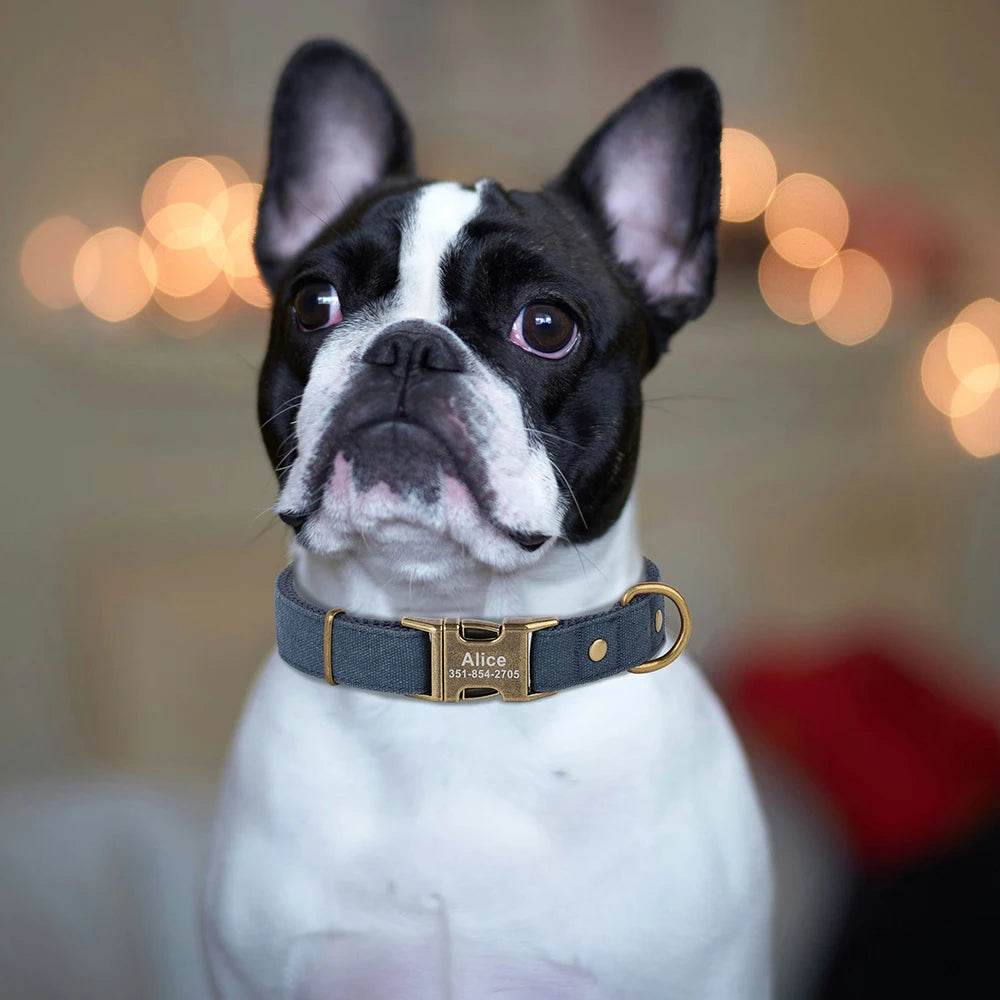 Collar Personalizado para Perro con Placa de Identificación Grabada - Nylon Resistente
