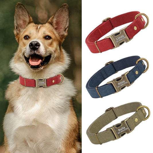 Collar Personalizado para Perro con Placa de Identificación Grabada - Nylon Resistente