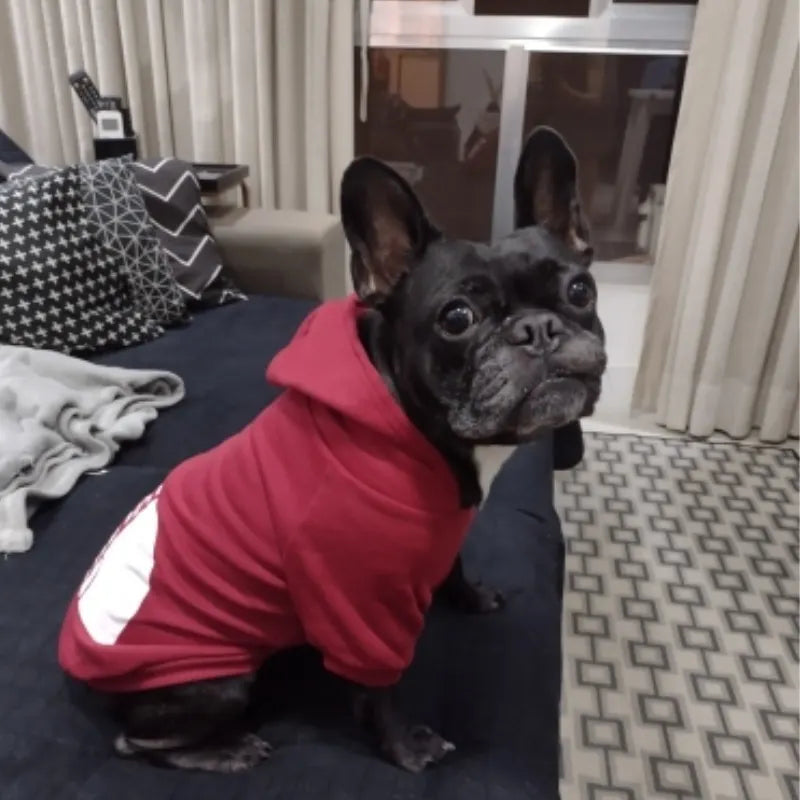 Sudadera con Capucha para Perros - Chaqueta Cálida Cortavientos