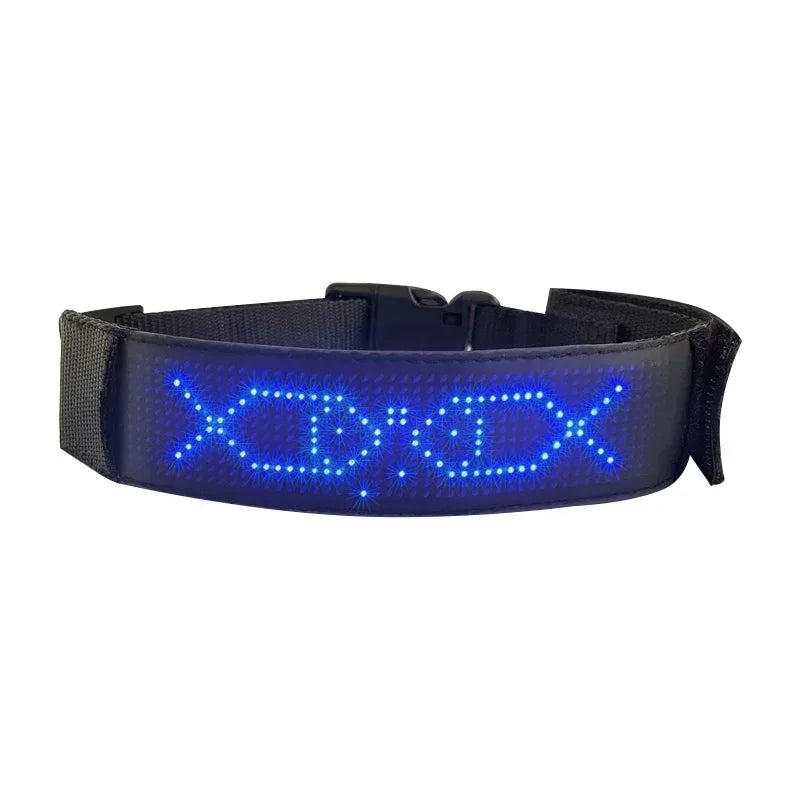 Collar LED Programable para Perros - Pantalla Multicolor Personalizable
