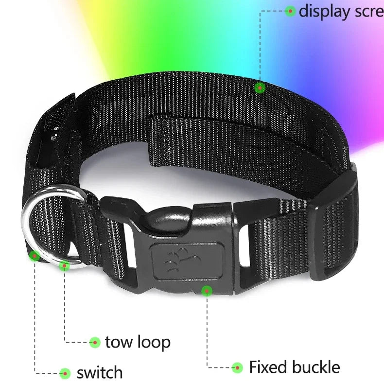 Collar LED Programable para Perros - Pantalla Multicolor Personalizable