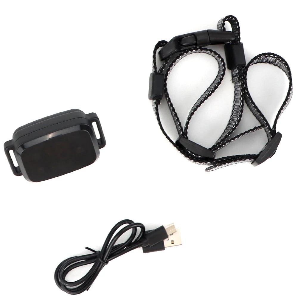 Collar de Entrenamiento Eléctrico para Perros - Recargable Impermeable con Control Remoto