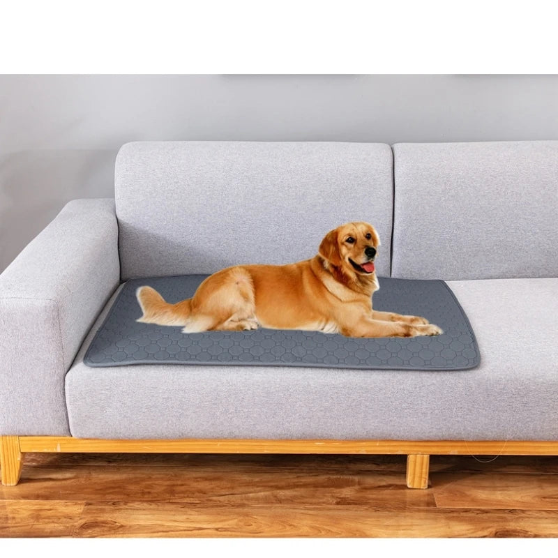 Alfombrilla de Entrenamiento Lavable para Perros - Empapador Reutilizable Impermeable