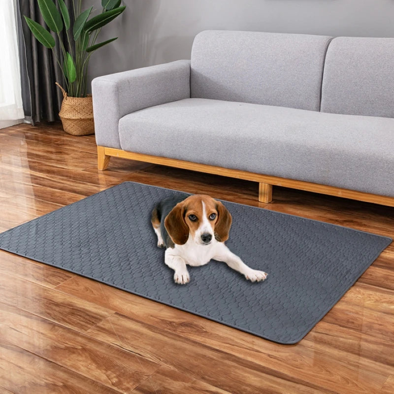 Alfombrilla de Entrenamiento Lavable para Perros - Empapador Reutilizable Impermeable