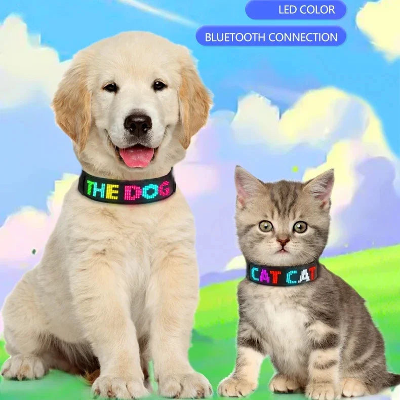 Collar LED Programable para Perros - Pantalla Multicolor Personalizable