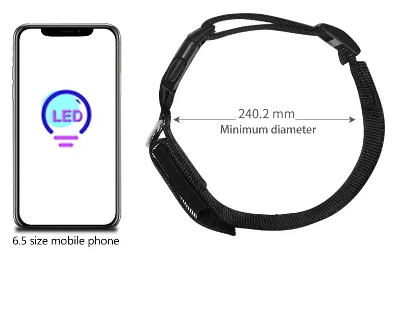 Collar LED Programable para Perros - Pantalla Multicolor Personalizable