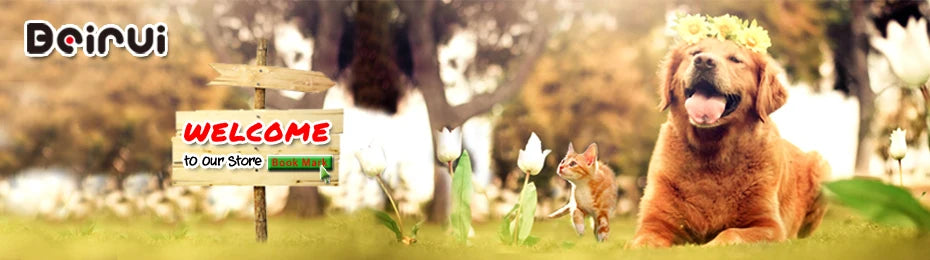 Collar Personalizado para Perro con Placa de Identificación Grabada - Nylon Resistente