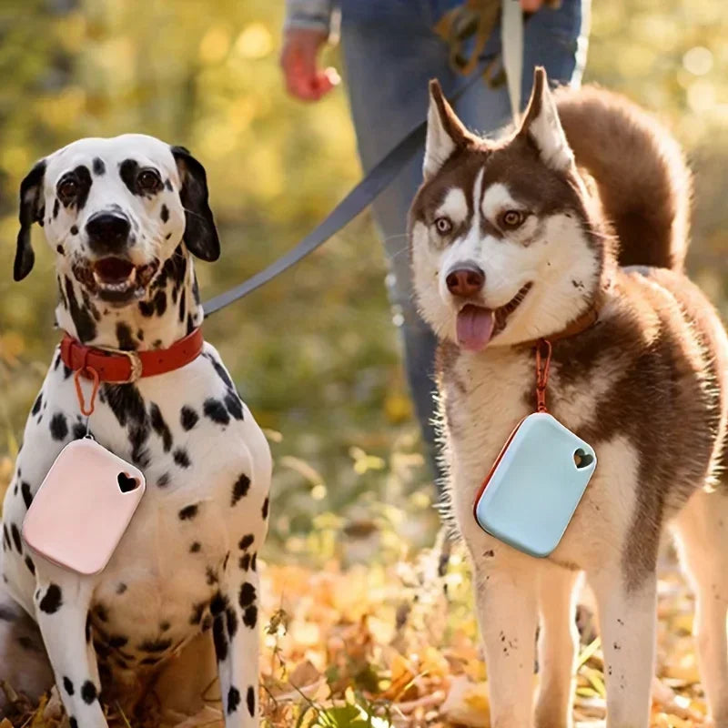 Bolsa de Silicona para Premios de Perro - Riñonera Impermeable para Entrenamiento