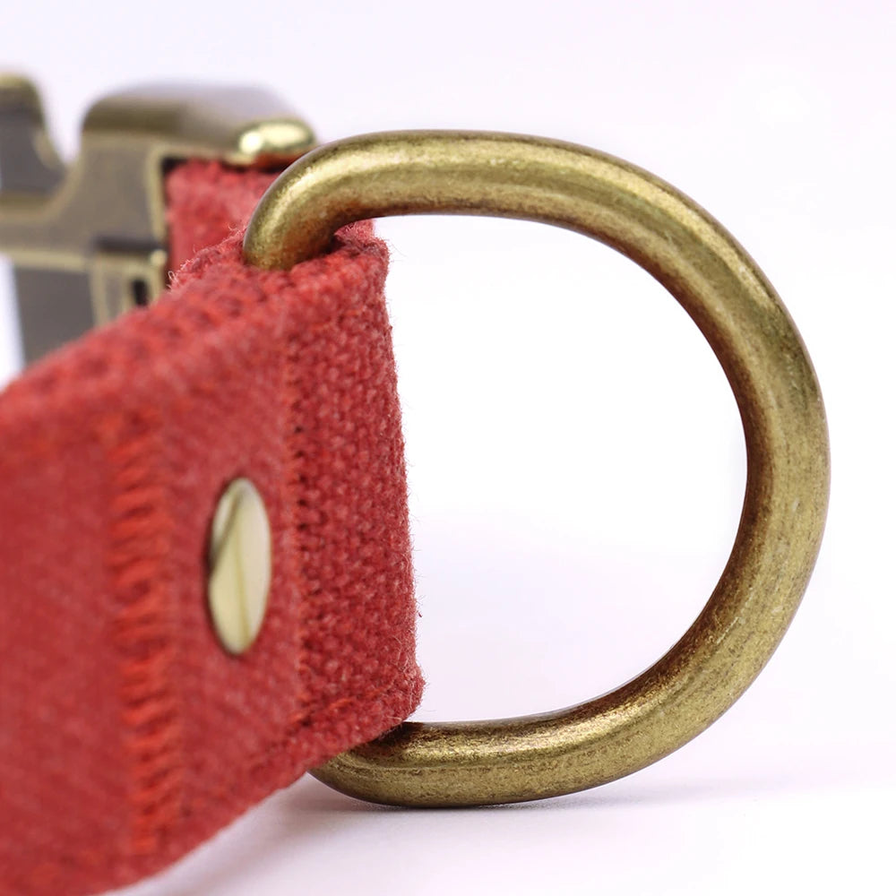 Collar Personalizado para Perro con Placa de Identificación Grabada - Nylon Resistente