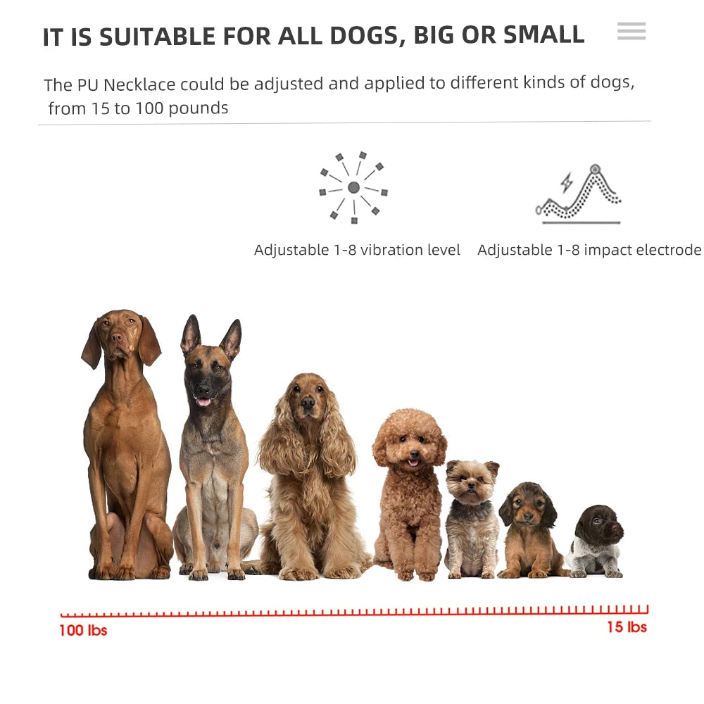 Collar de Entrenamiento Eléctrico para Perros - Recargable Impermeable con Control Remoto