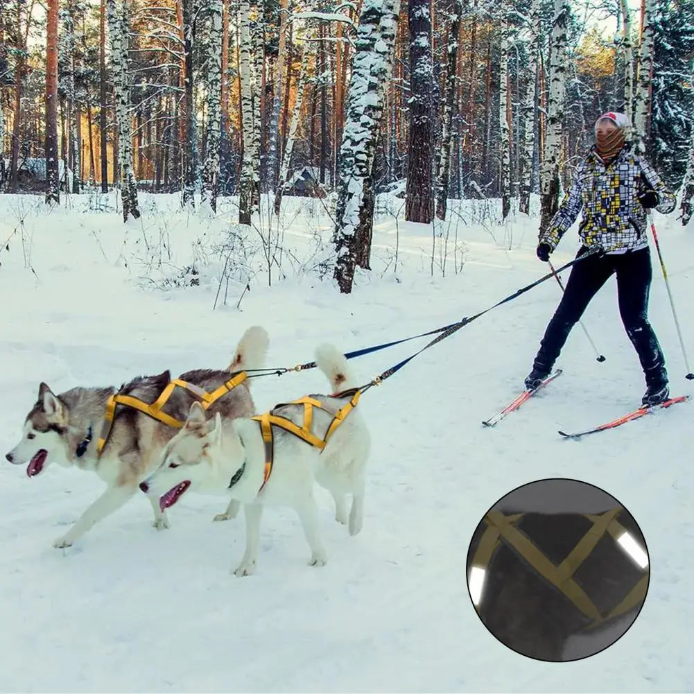 Arnés Acolchado Reflectante para Perros - Ajustable para Paseos Nocturnos