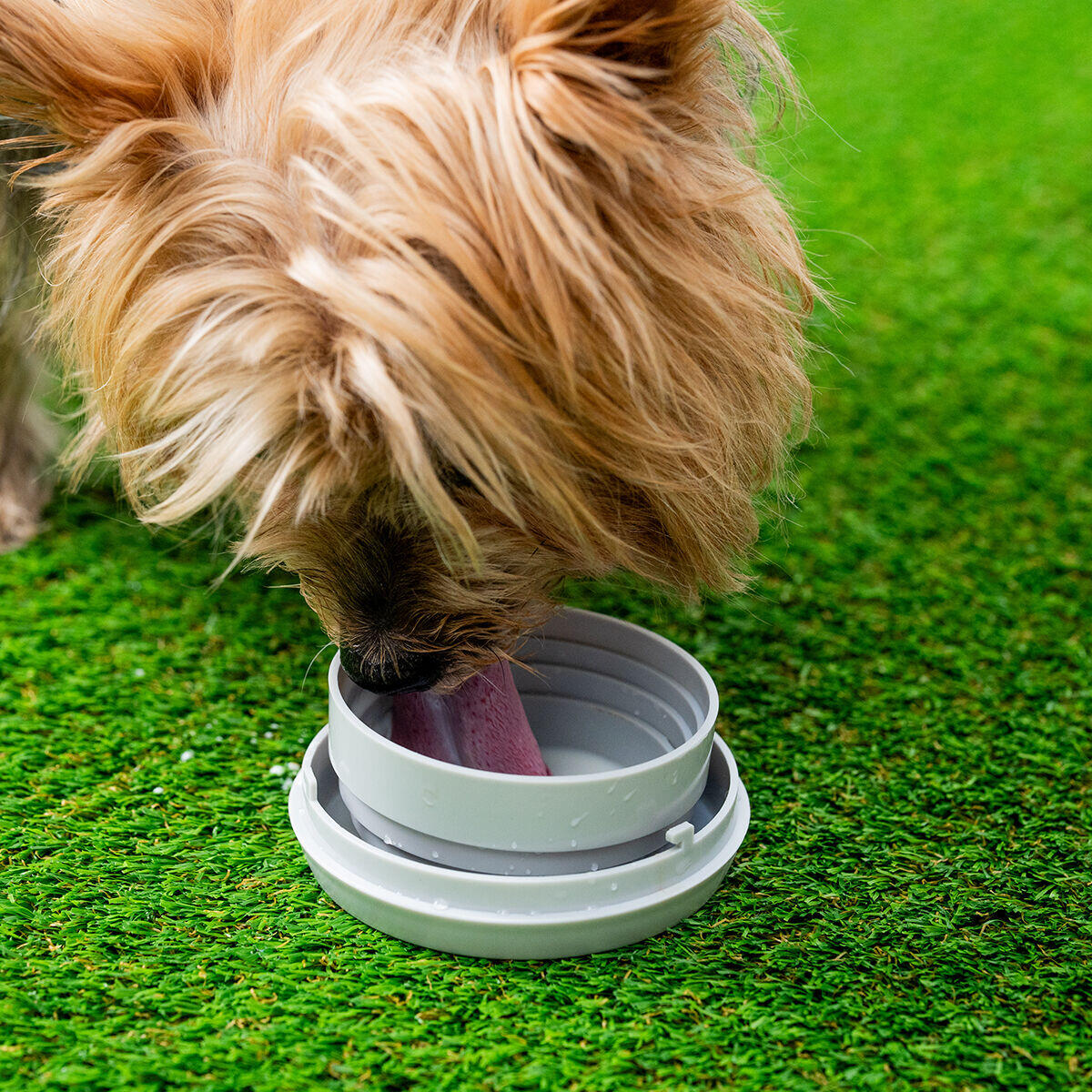 Correa Retráctil 6 en 1 para Perros - Multifuncional con Linterna y Dispensador