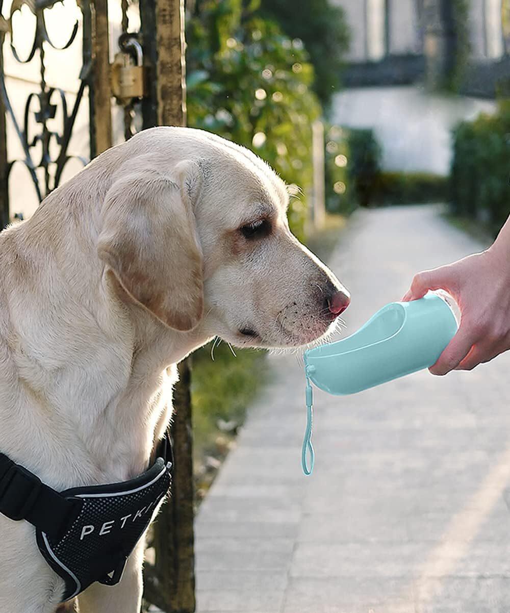 Bebedero Automático para Mascotas - Dispensador de Agua Portátil para Perros