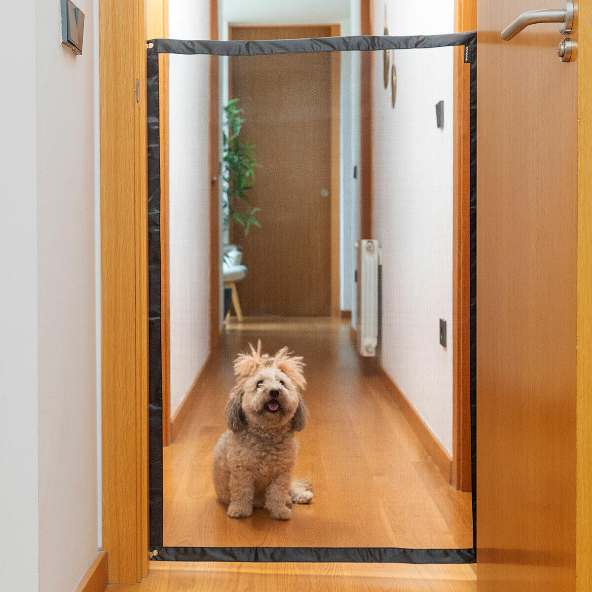 Red de Seguridad para Mascotas - Barrera Protectora para Coche
