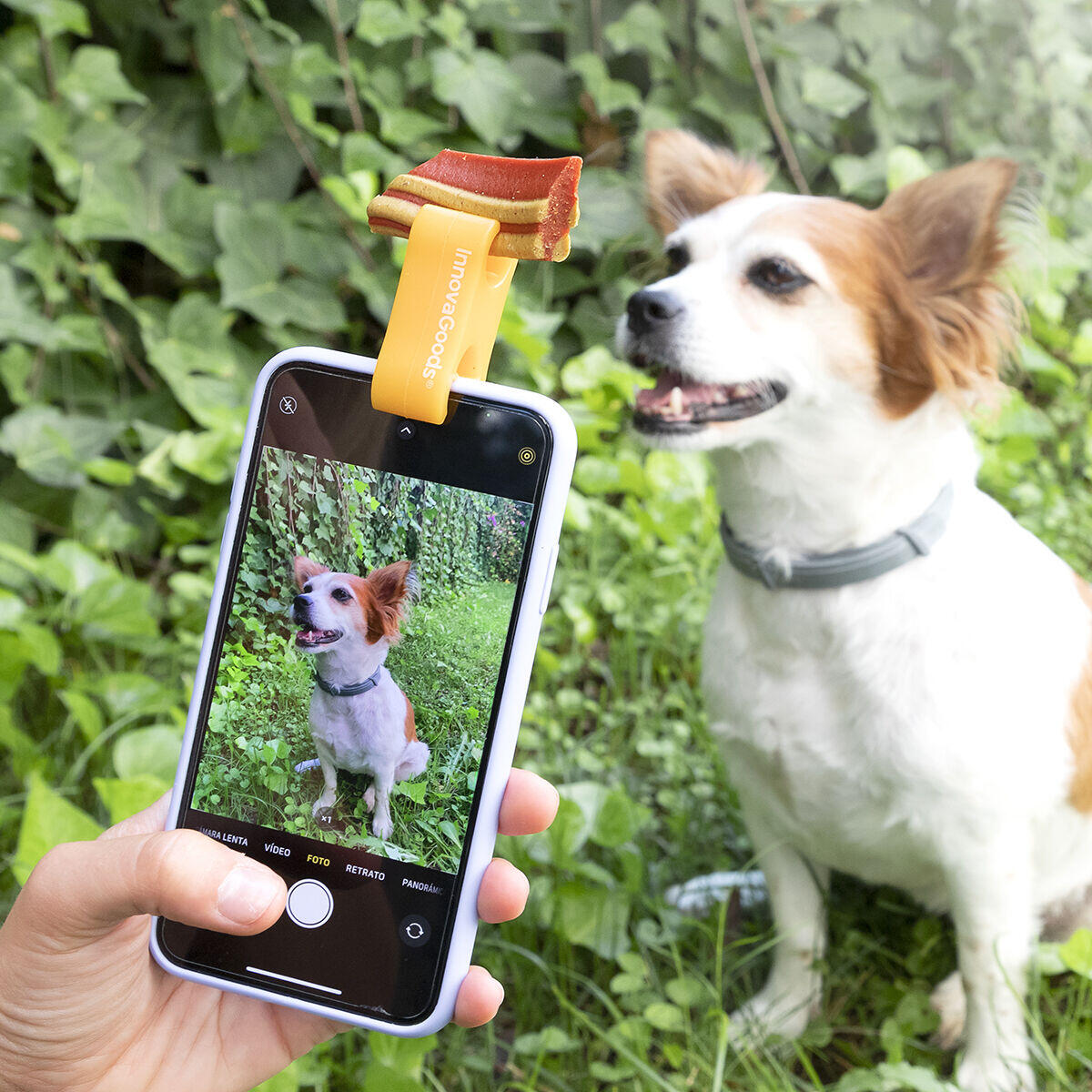 Clip para Selfies con Mascotas - Accesorio para Fotos Perfectas con tu Perro o Gato
