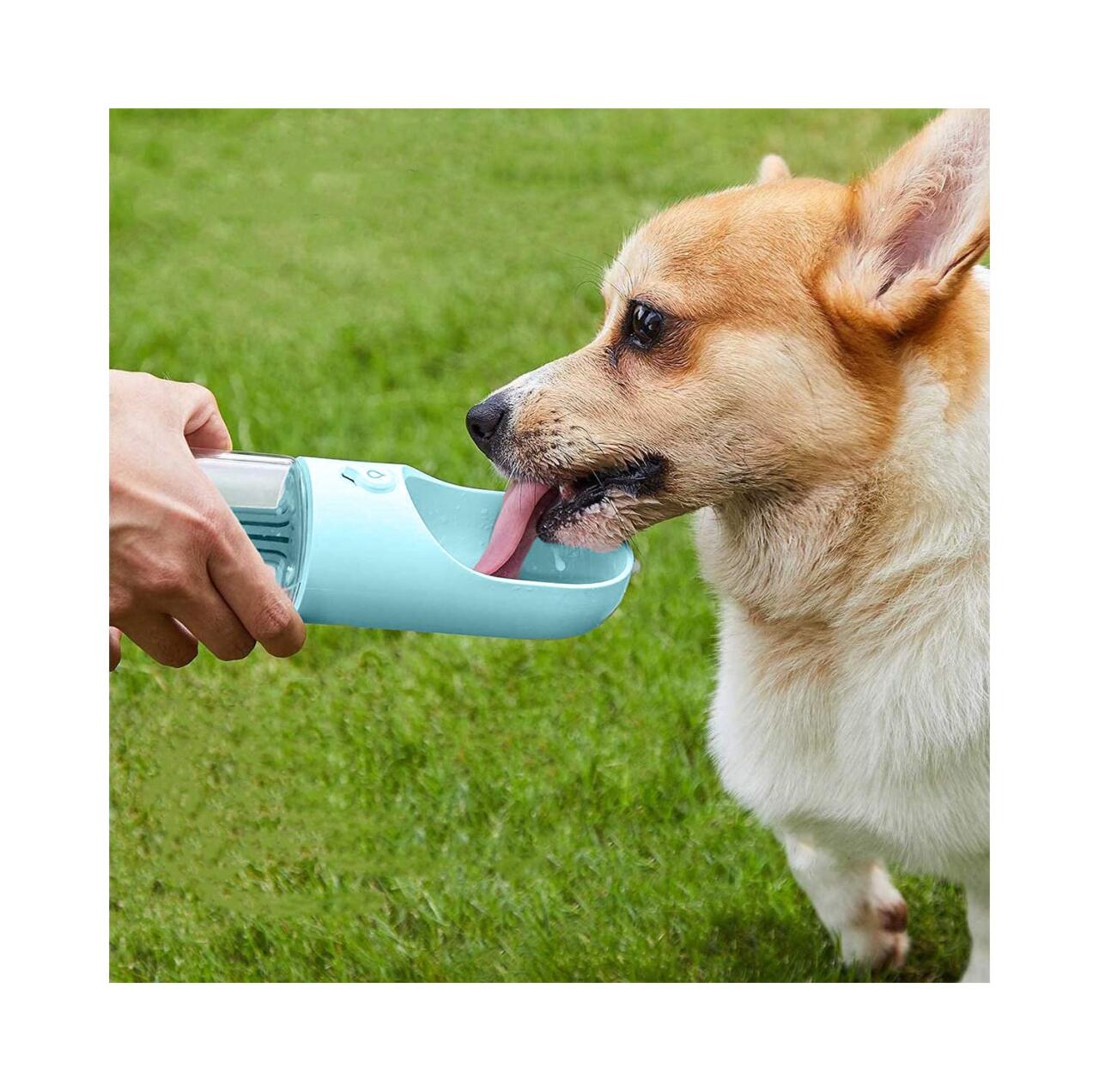 Bebedero Automático para Mascotas - Dispensador de Agua Portátil para Perros