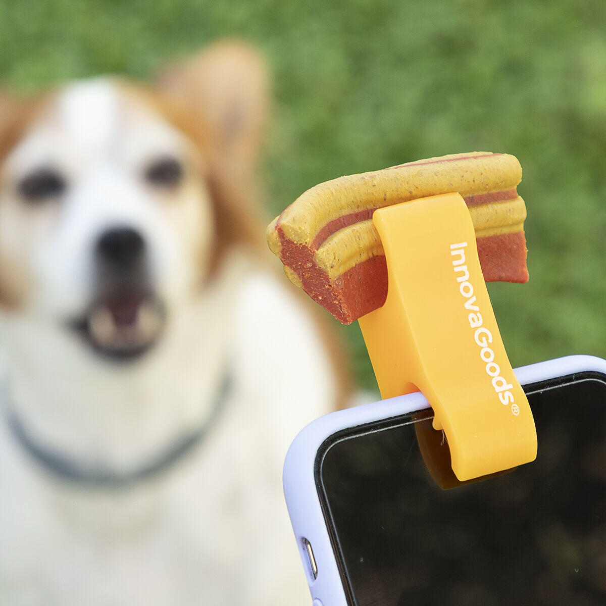 Clip para Selfies con Mascotas - Accesorio para Fotos Perfectas con tu Perro o Gato
